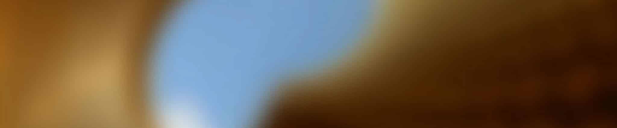 Nelson and Colne College Group in United Kingdom