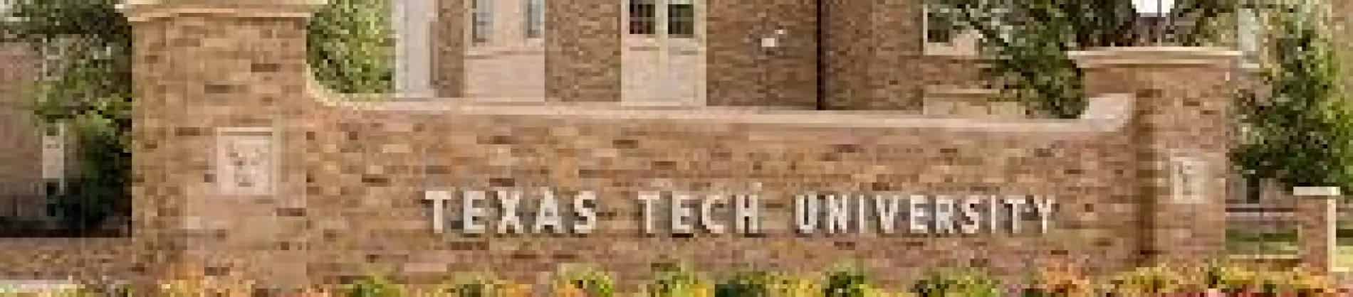 Art, B.F.A.: Studio Art ConcentrationTransmedia