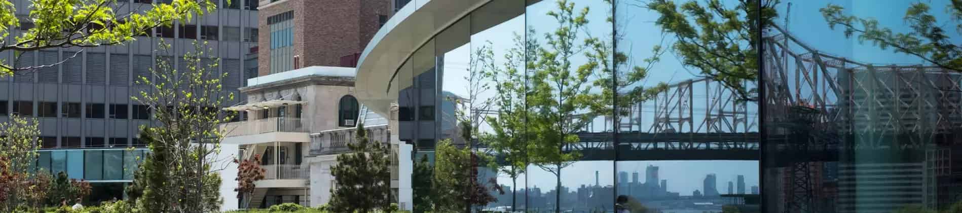 برنامج زمالة Chemers Neustein الصيفي للبحوث الجامعية