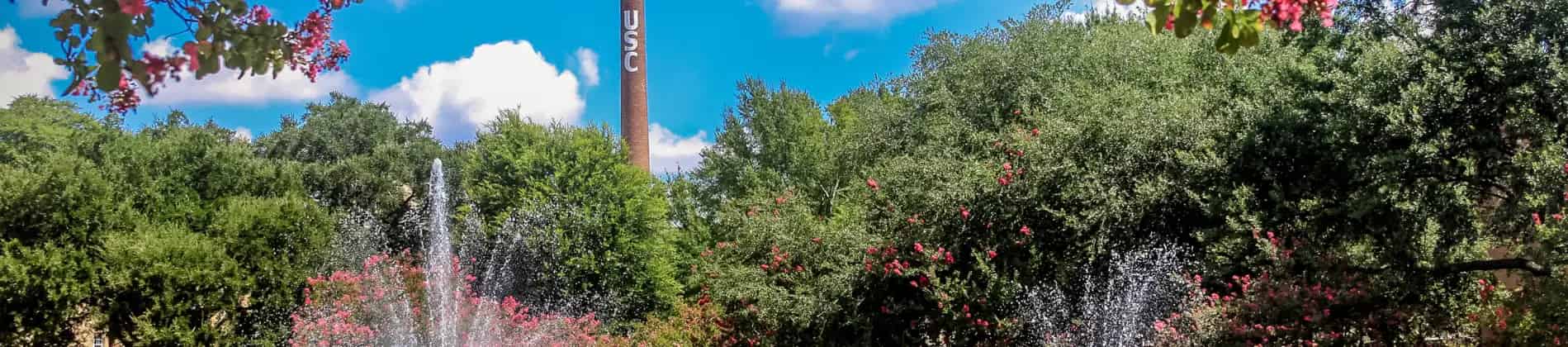 دراسات الأفلام والإعلام، B.A.