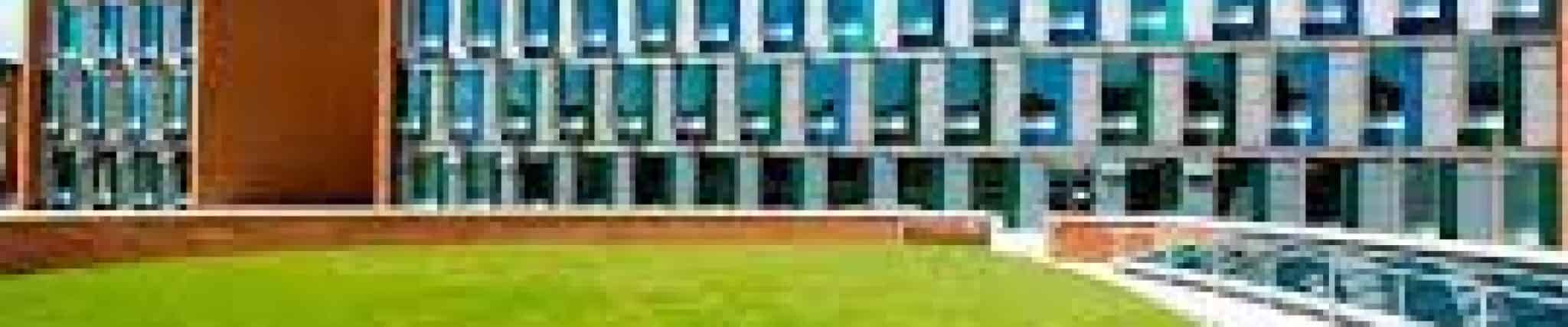 الحوسبة للأعمال والإدارة البكالوريوس (مع مرتبة الشرف)