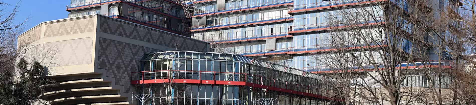 Business Informatics
(B.Sc.)