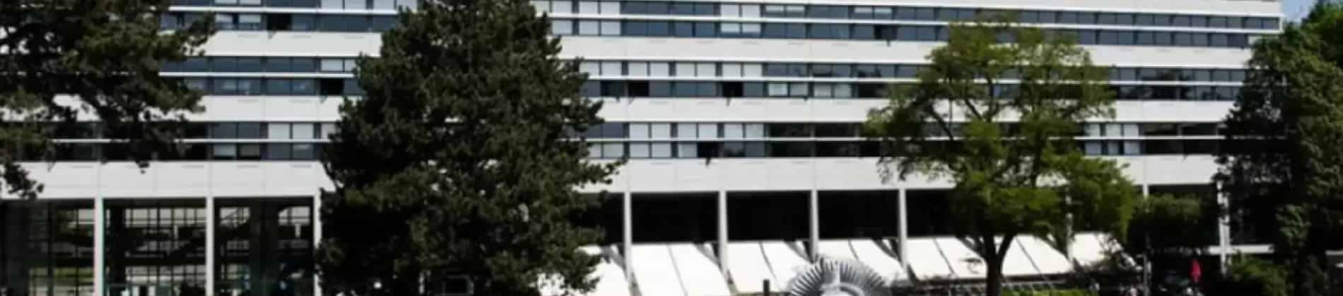 FOKuS â€“ Studienstart Deutsch | Vorbereitungssemester fÃ¼r internationale Studieninteressierte