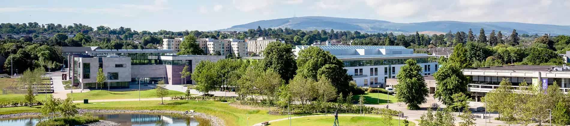 Management Consultancy