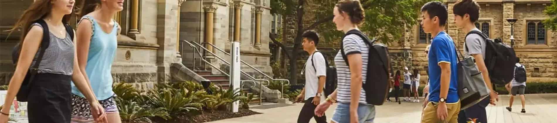 دبلوم الدراسات العليا في إدارة الأعمال