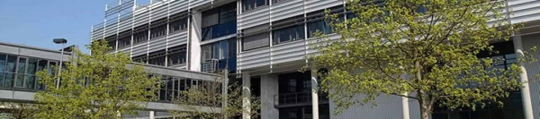 دراسات الدكتوراه