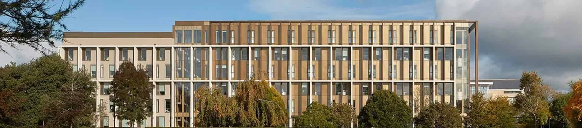 International Management MSc