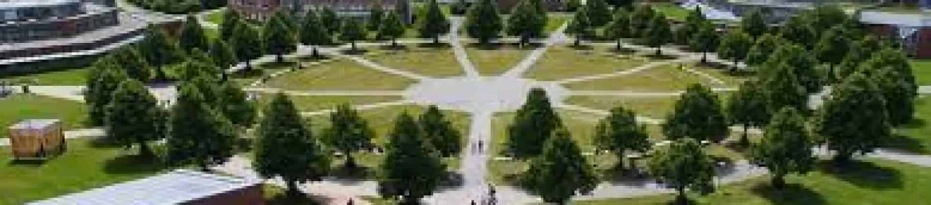 التحضير لامتحان TestDaF (عبر الإنترنت)