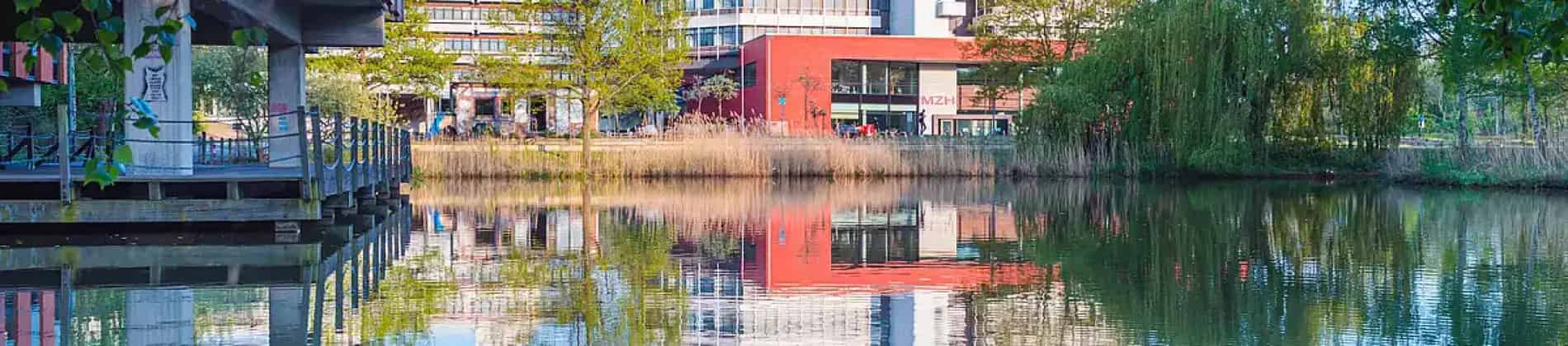 علم الاجتماع والبحوث الاجتماعية