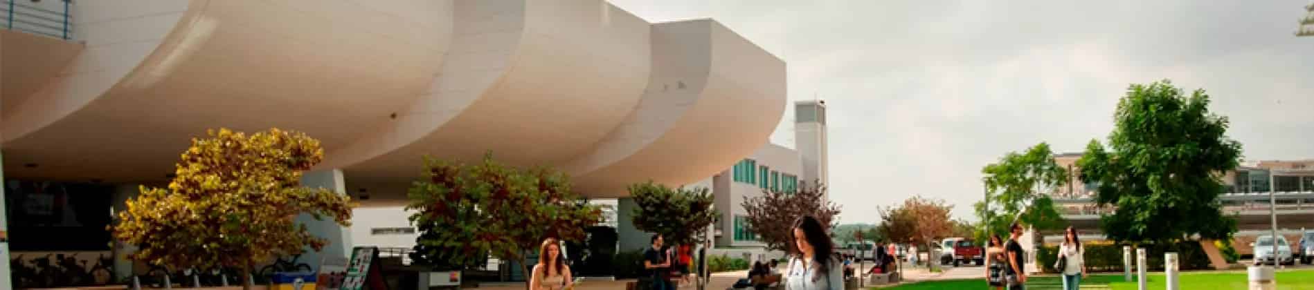 الدراسات التركية