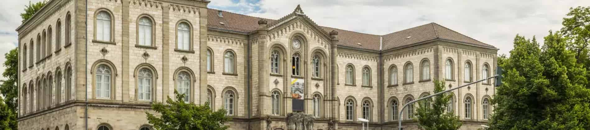 Biodiversity, Ecology and Evolution (MSc)