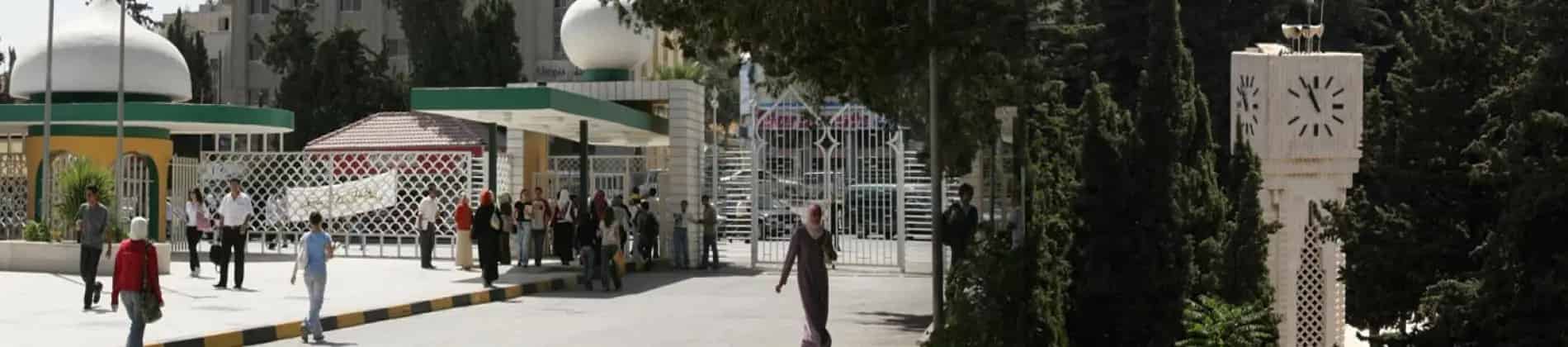 دكتور في الطب (دكتوراه في الطب)