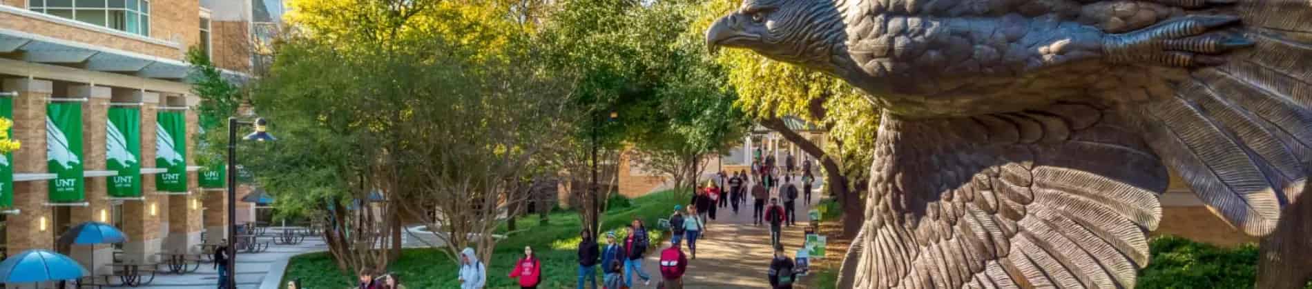 Curriculum and Instruction