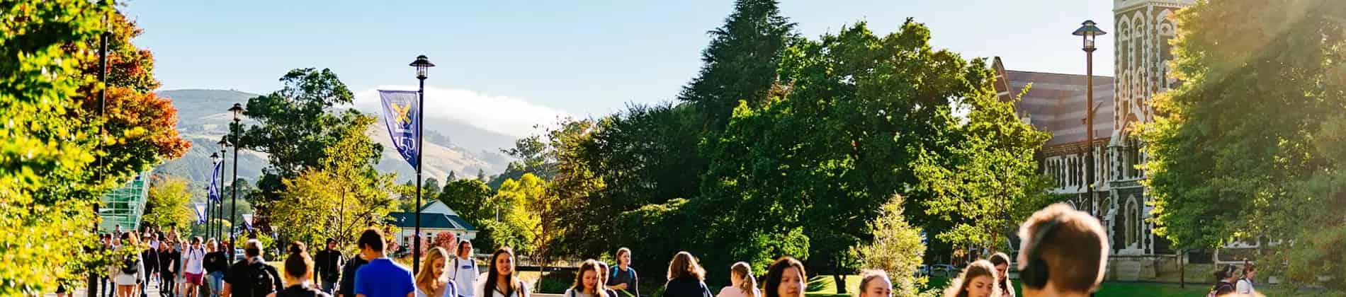 دبلوم الدراسات العليا في علوم العيون الأساسية