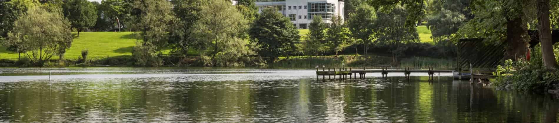 Sociology and Social Policy