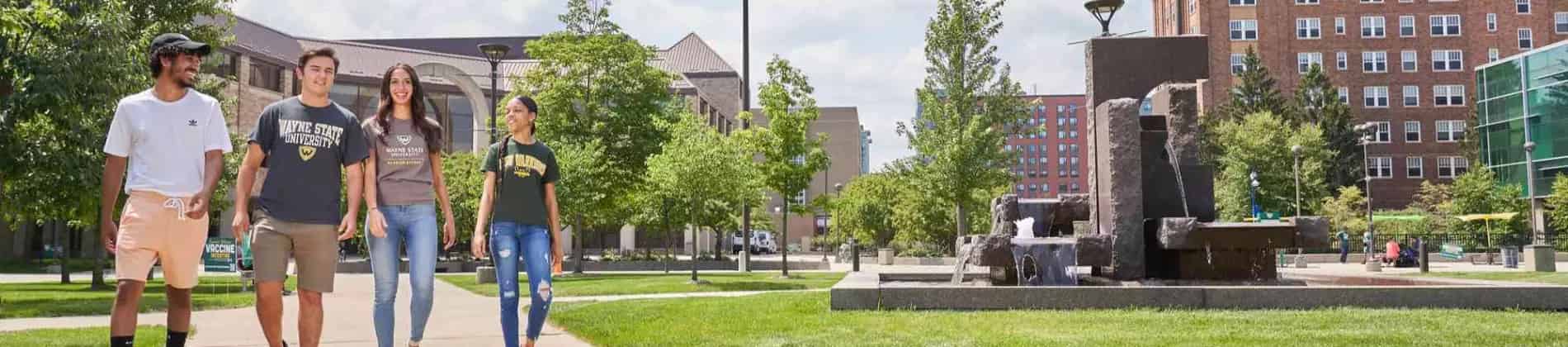 الدراسات الأمريكية الأفريقية