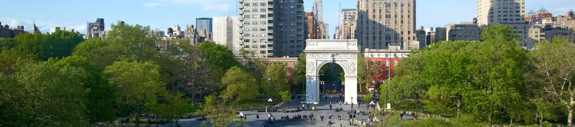 Biology (Oral Biology Track)