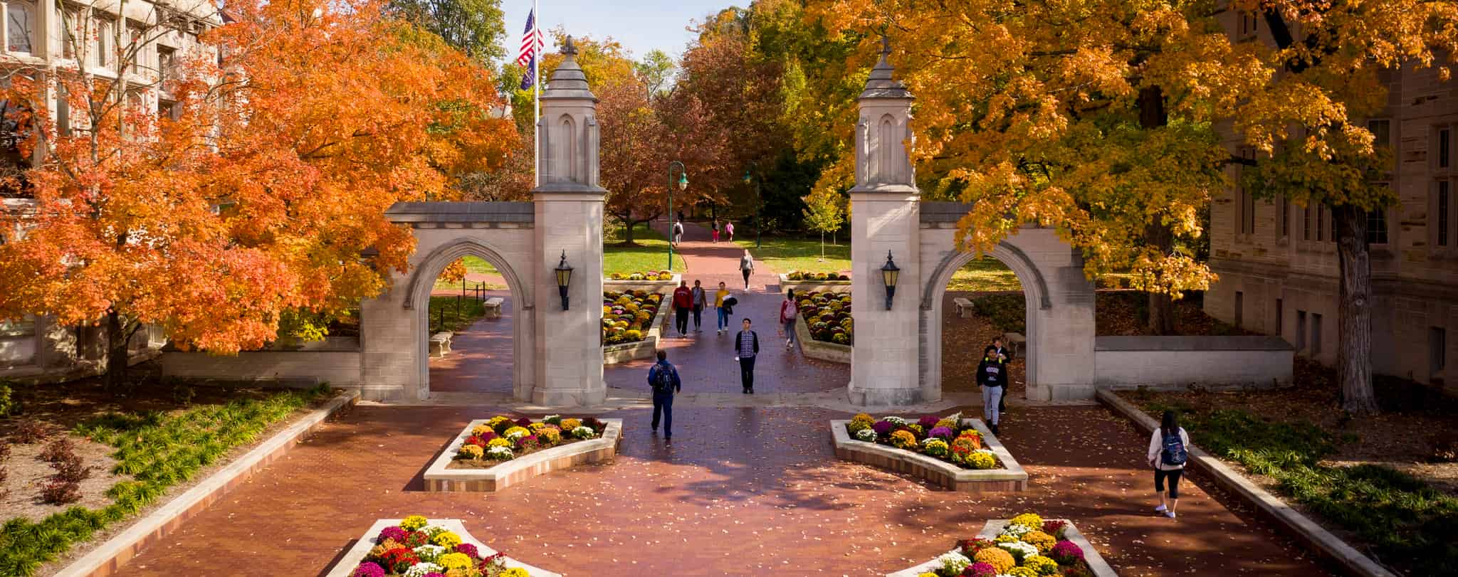 برنامج علماء ماكدونالد