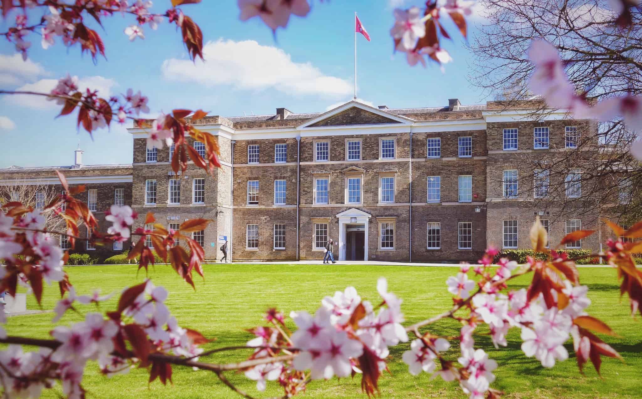 Sanctuary Scholarships