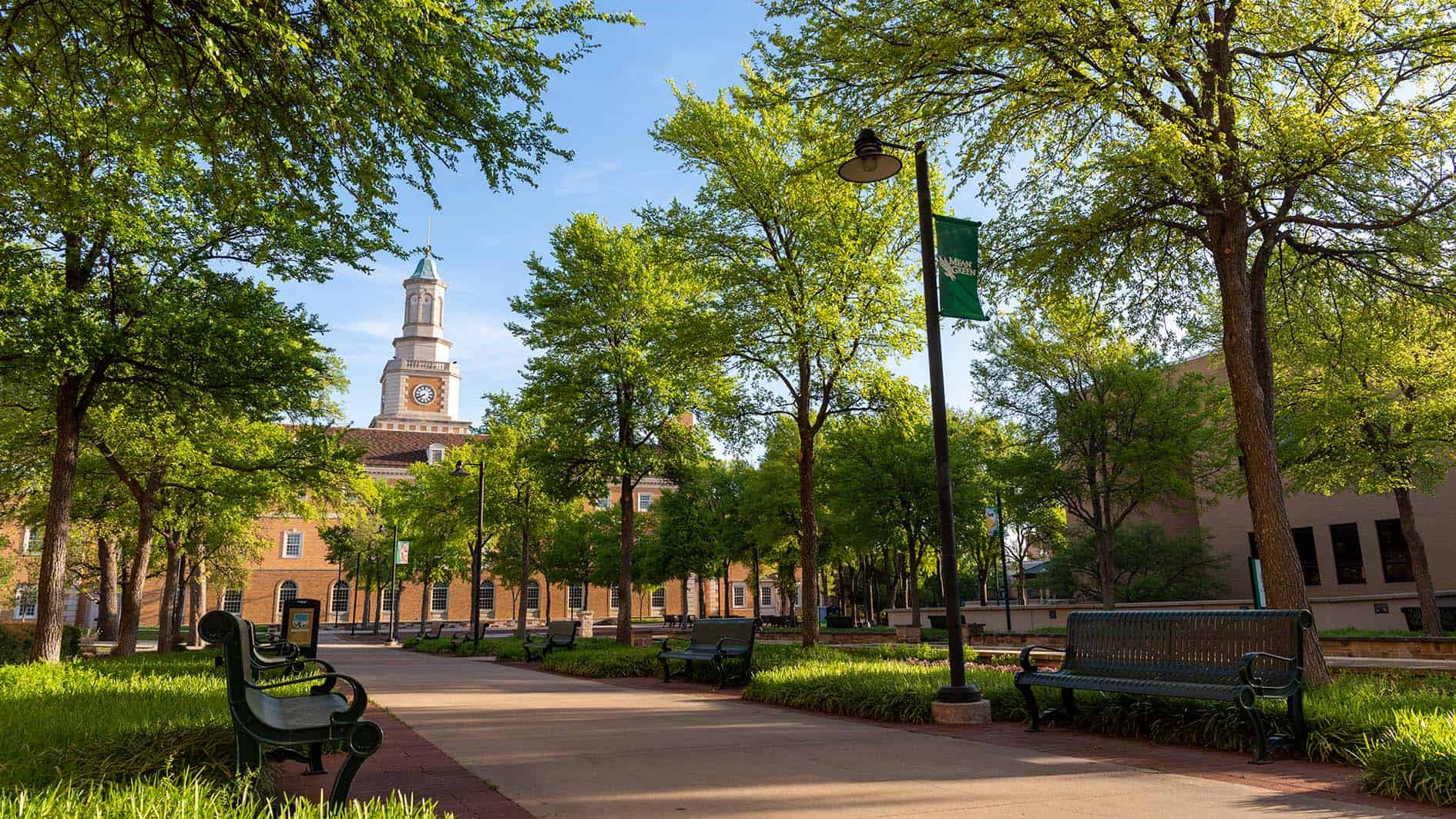 UNT Excellence Scholarships