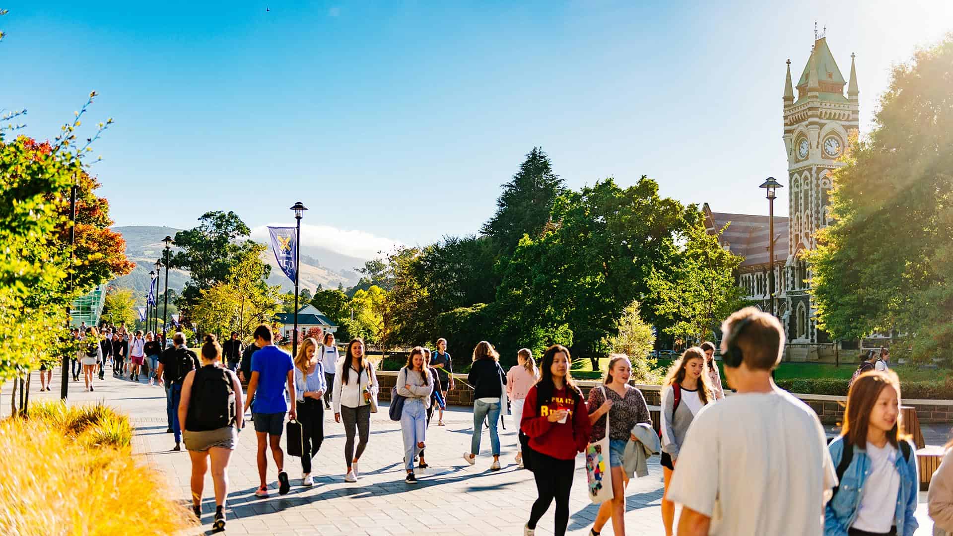 منحة نوني رايت