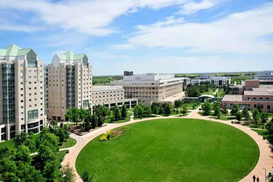 International Entrance Scholarship