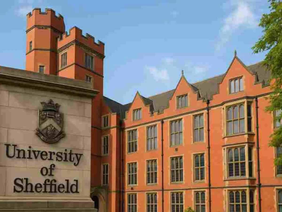 المنح الدراسية الكبرى 2024 - مصر