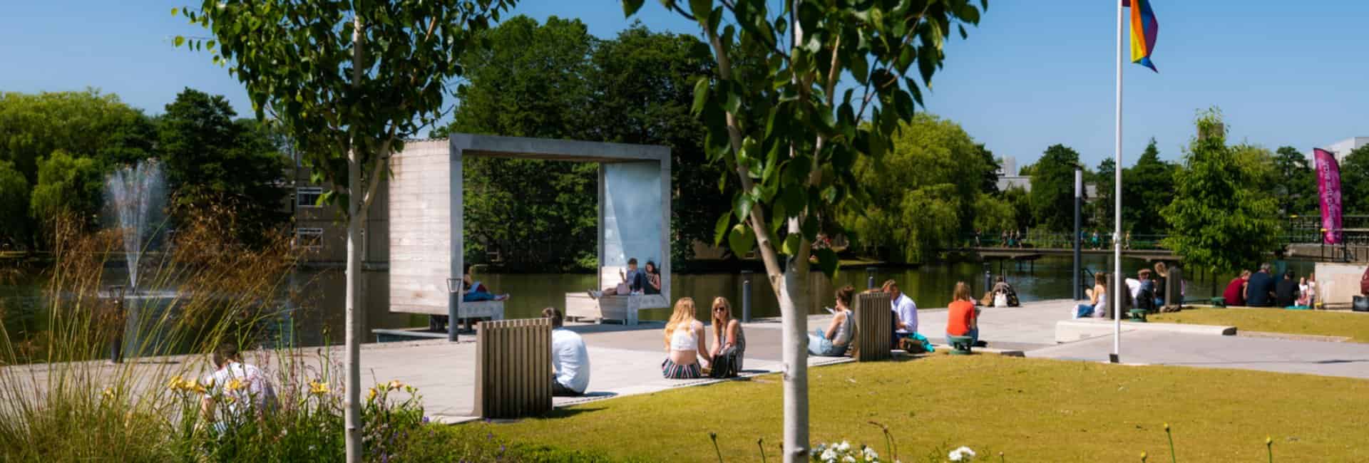 منحة تيري وارد