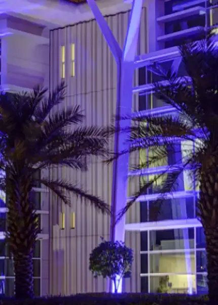 ماجستير في إدارة الأعمال (ماجستير في إدارة الأعمال)