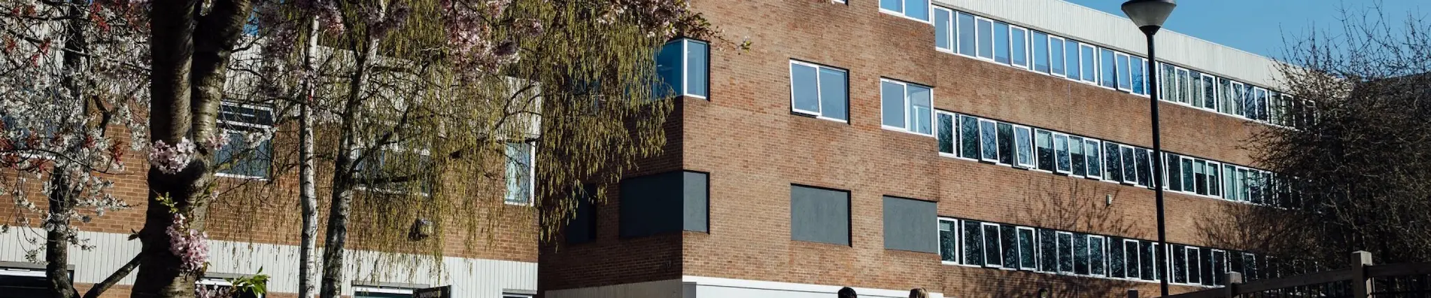 Digital Technologies (Data Analytics)