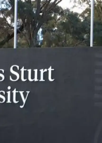 Doctor of Social Work