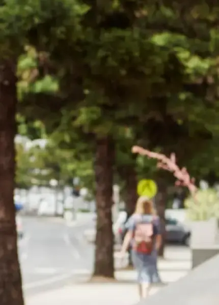 Master of Humanitarianism and Development