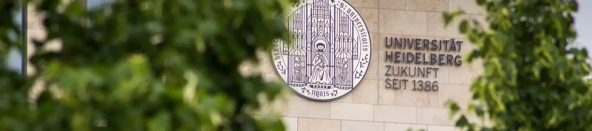 ماجستير العلوم في الحوسبة العلمية