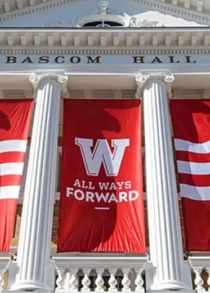 الدراسات الأمريكية الأفرو، B.A.