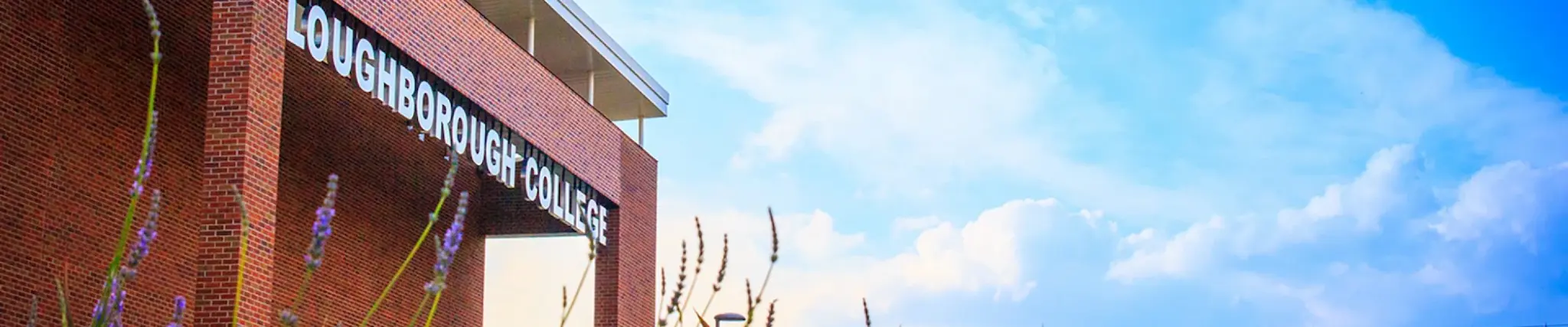 Education Studies (Top Up)