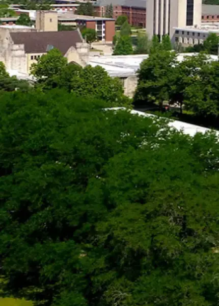 Professional Educator License with an Endorsement in School Counseling