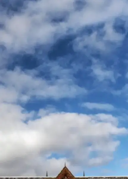 Bachelor of Science (Biopharmaceutical Chemistry)