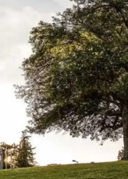 Chemical and Biochemical Engineering, PhD