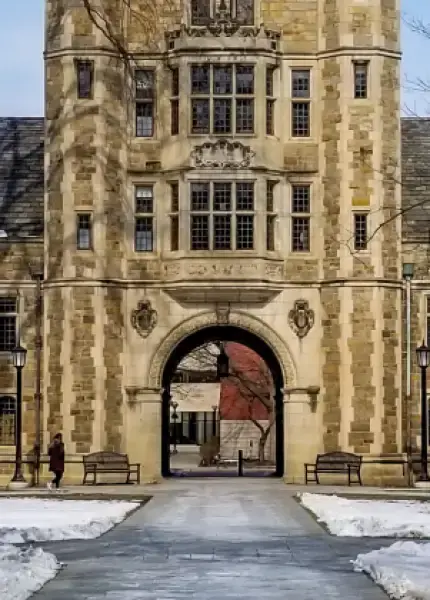 Dentistry - Restorative Dentistry