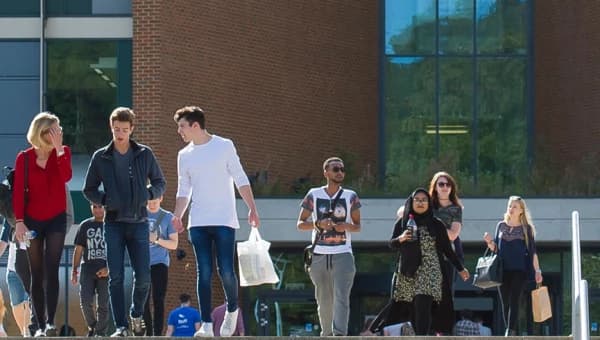 جامعة ساسكس