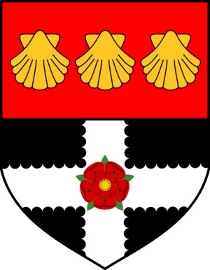 جامعة ريدينغ