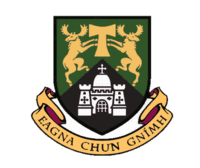 جامعة ليمريك