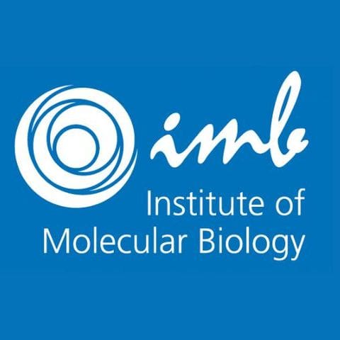 Institute of Molecular Biology (IMB) in Germany