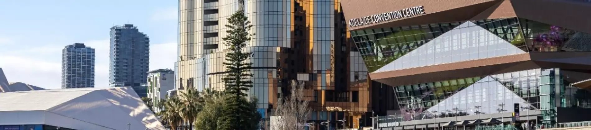 الدراسة في اديلايد
