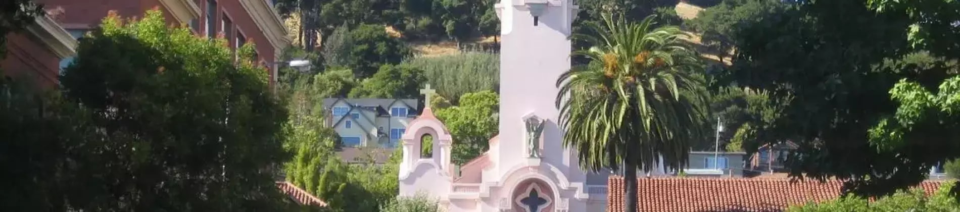 الدراسة في سان رافائيل