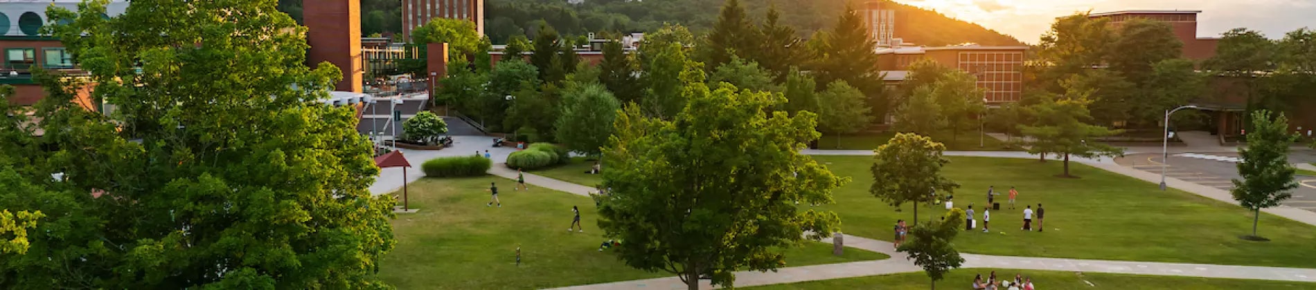 Binghamton University in United States of America