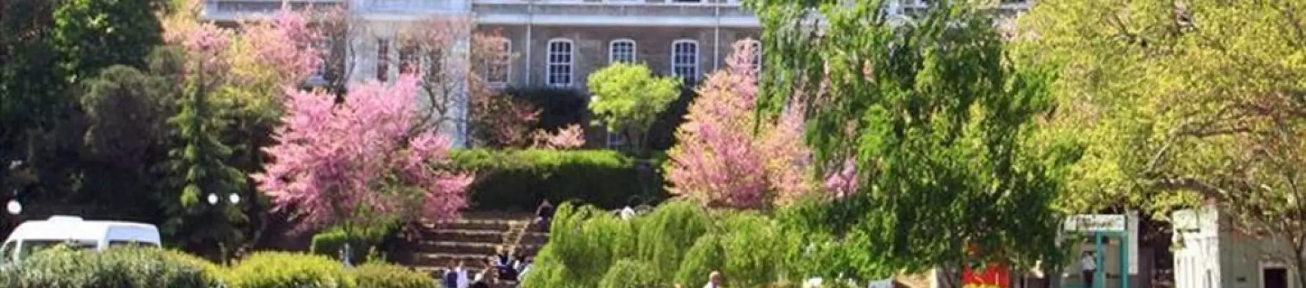 Bogazici University in Turkey