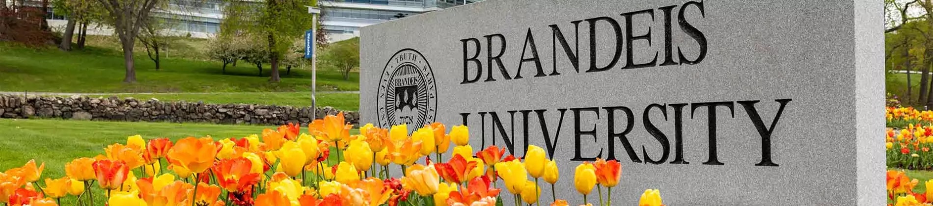 جامعة براندايس في الولايات المتحدة