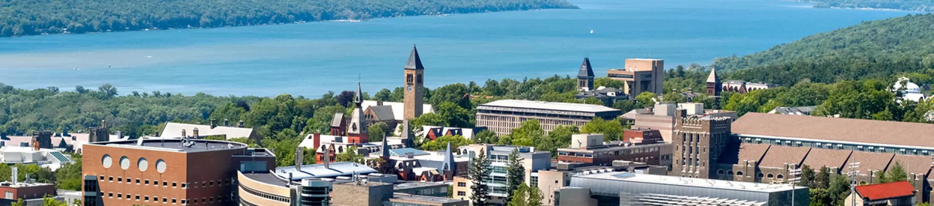 Cornell University in United States of America