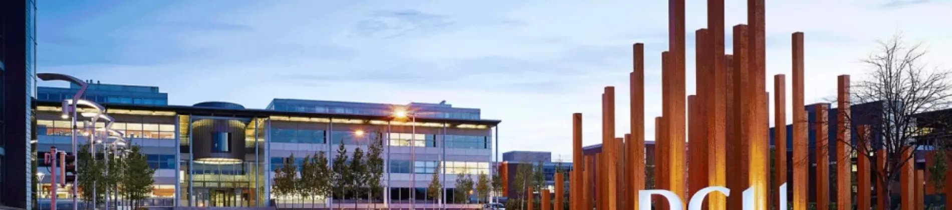 جامعة مدينة دبلن في أيرلندا